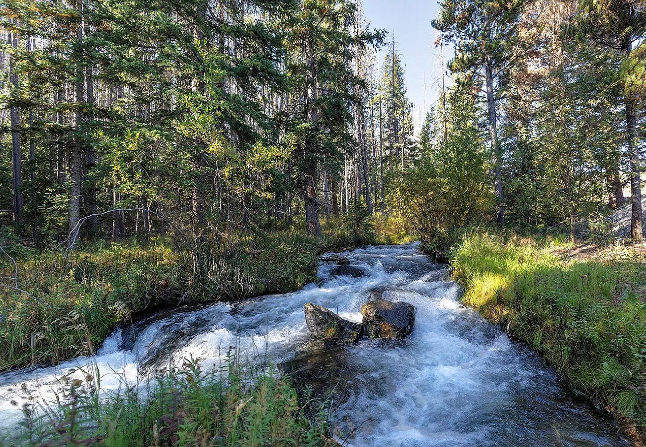 Cabin in Anaconda - Quiet Pintler Getaway - Minutes from Georgetown! 