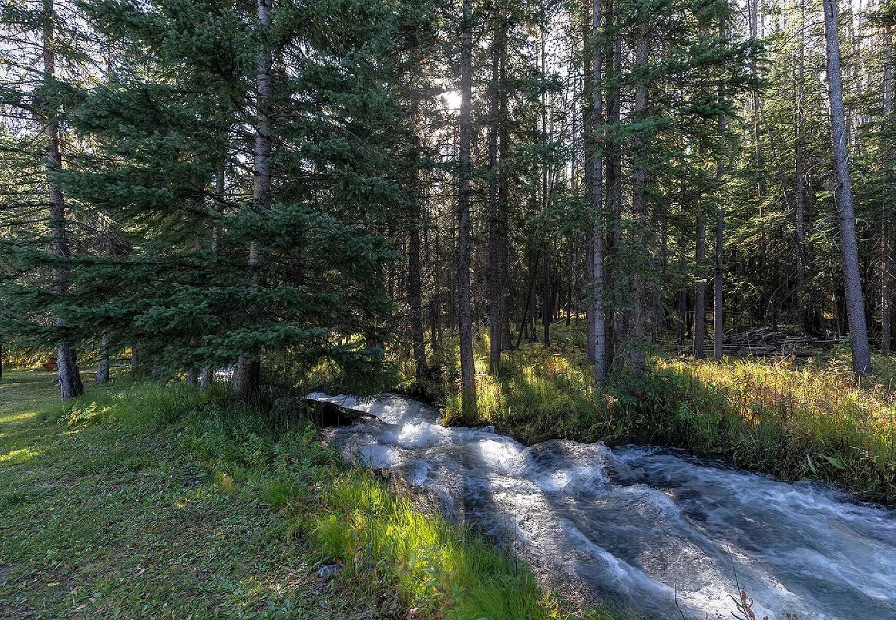 Cabin in Anaconda - Quiet Pintler Getaway - Minutes from Georgetown! 