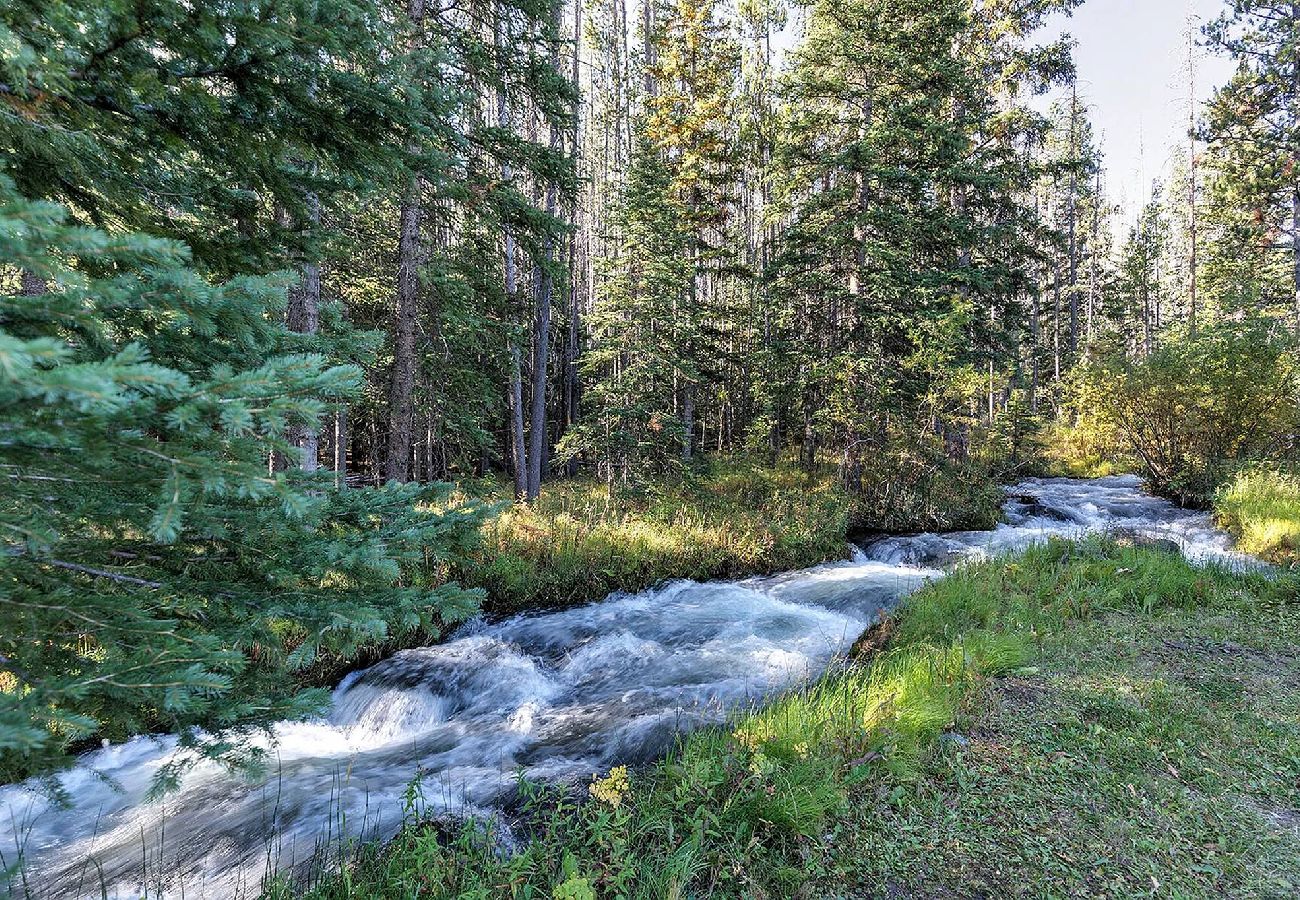 Cabin in Anaconda - Quiet Pintler Getaway - Minutes from Georgetown! 