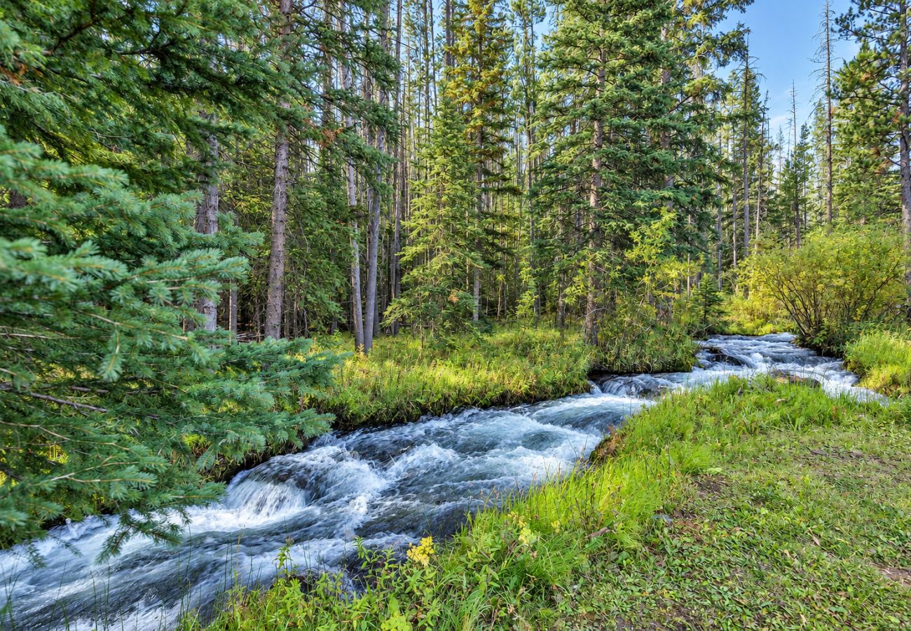 Cabin in Anaconda - Quiet Pintler Getaway - Minutes from Georgetown!