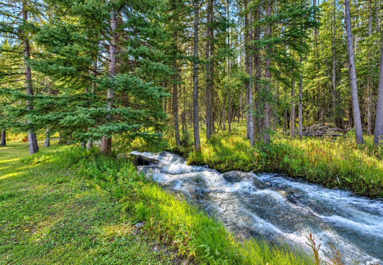 Cabin in Anaconda - Quiet Pintler Getaway - Minutes from Georgetown!