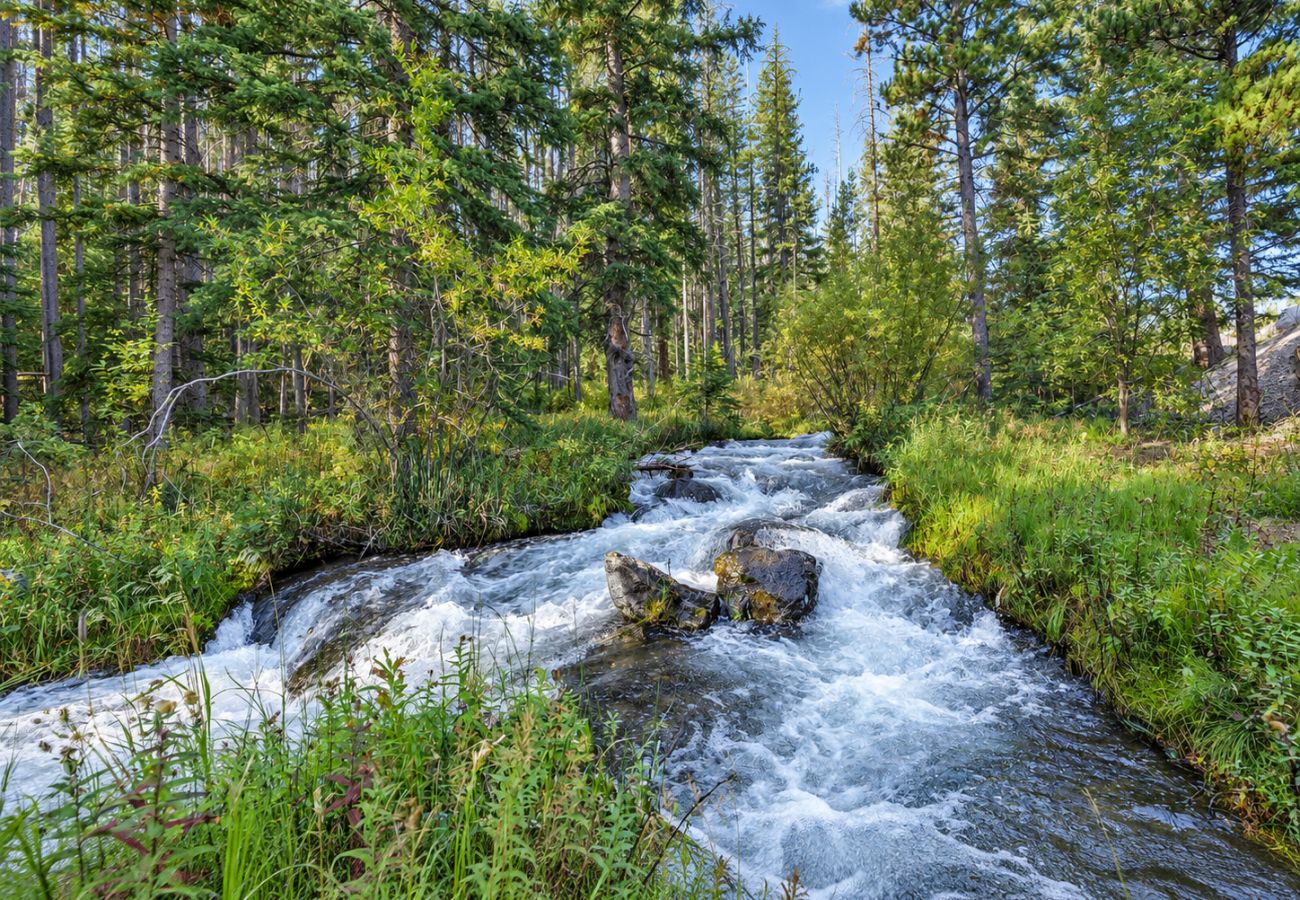 Cabin in Anaconda - Quiet Pintler Getaway - Minutes from Georgetown!