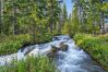 Cabin in Anaconda - Quiet Pintler Getaway - Minutes from Georgetown!