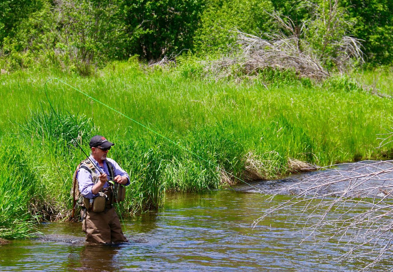 Cabin in Philipsburg - Cozy Rock Creek Cabin - Fly Fisher's Retreat 