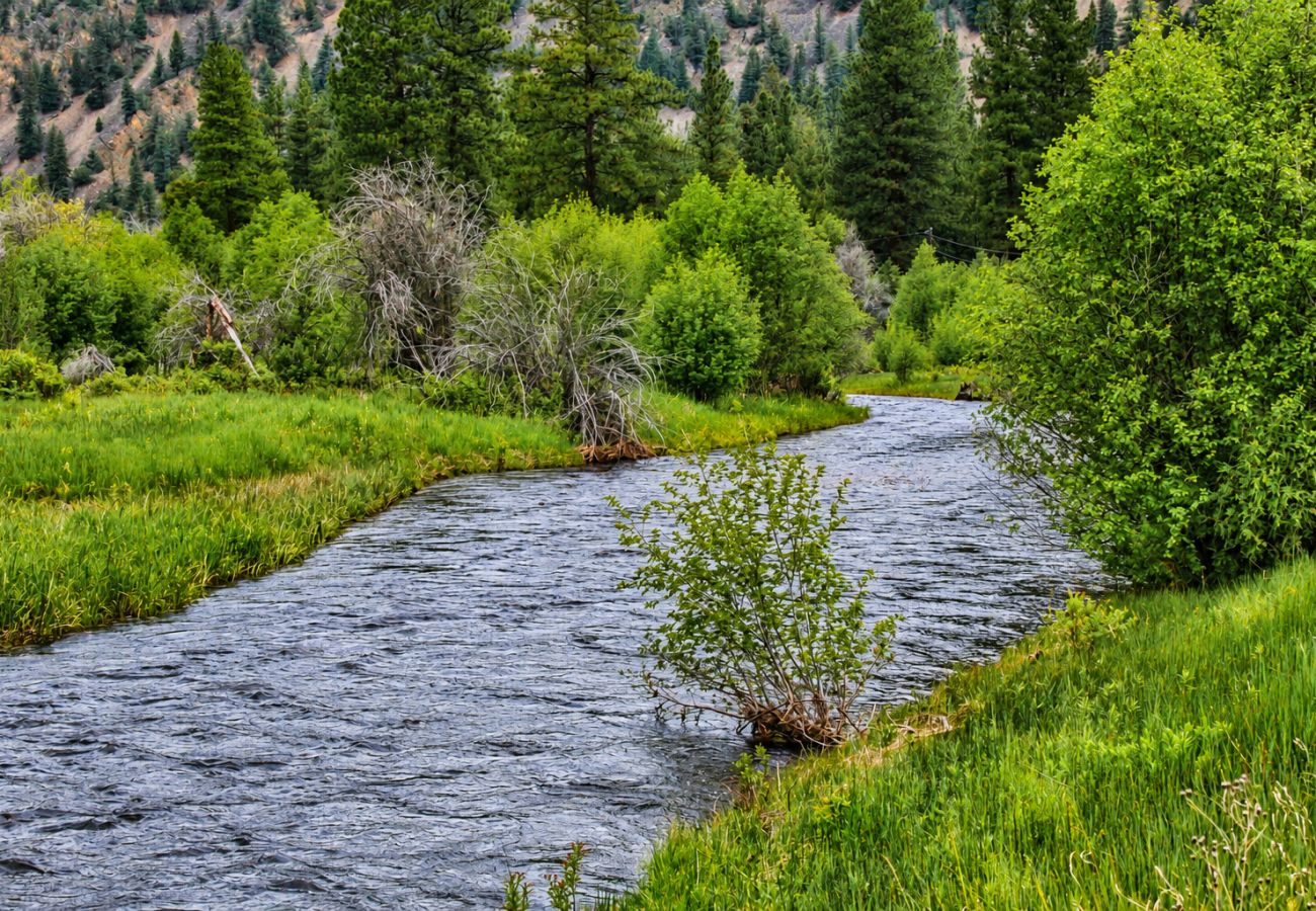 Cabin in Philipsburg - Cozy Rock Creek Cabin - Fly Fisher´s Retreat