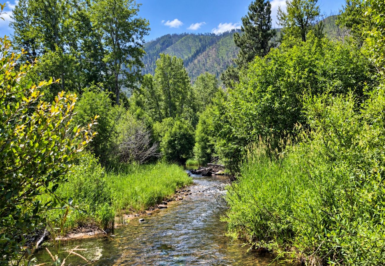 Cabin in Philipsburg - Rock Creek Cabin Hideaway with Stunning Views!