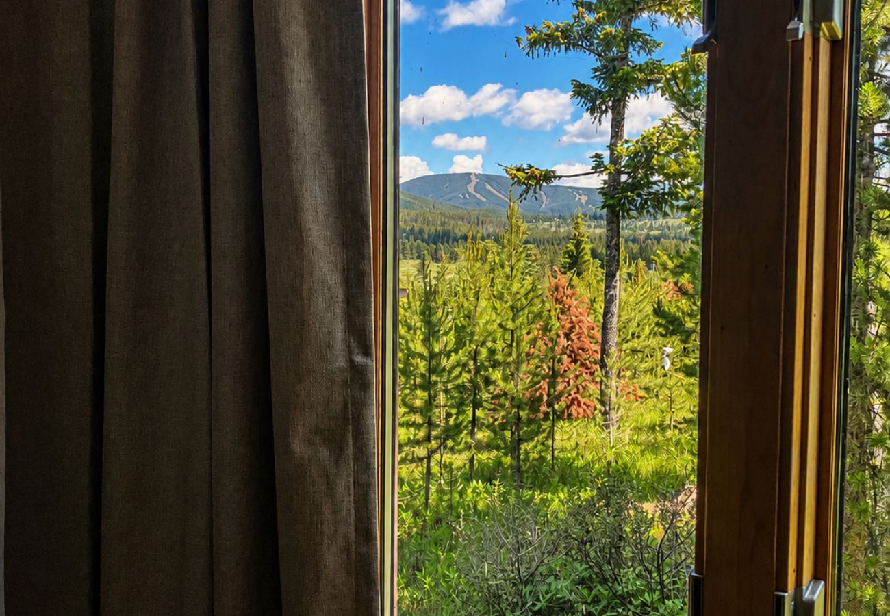 Cabin in Anaconda - Diamond R Bivy - Discovery & Lake Views!