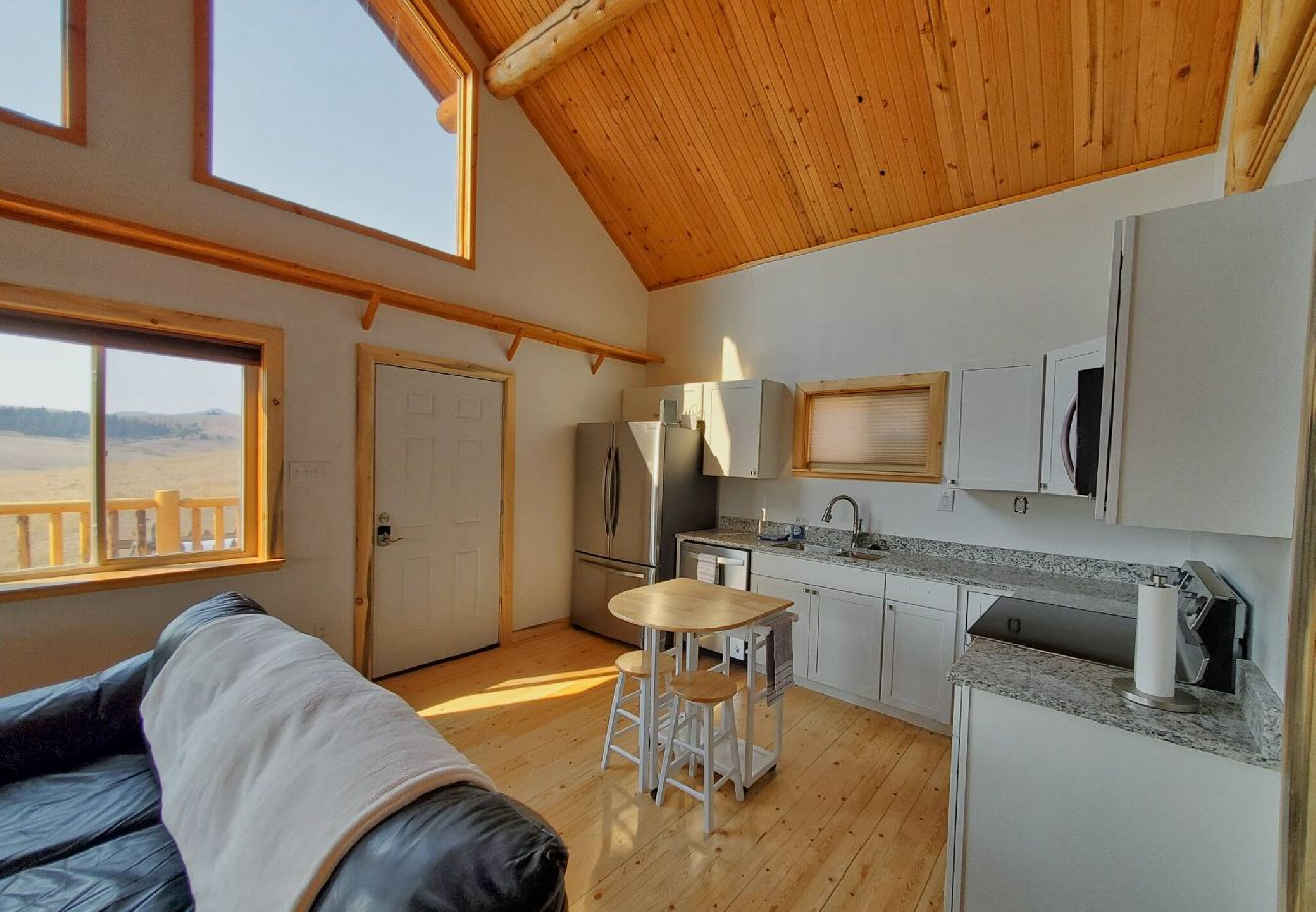 Cabin in Philipsburg - Close to Rock Creek! - Updated cabin on 40 acres! 