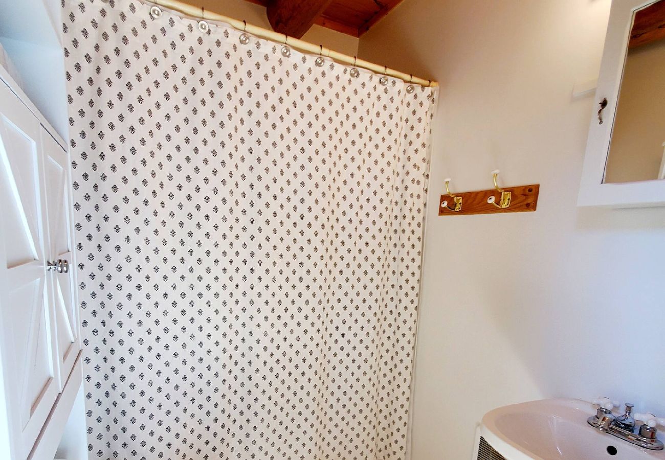 Cabin in Philipsburg - Close to Rock Creek! - Updated cabin on 40 acres! 