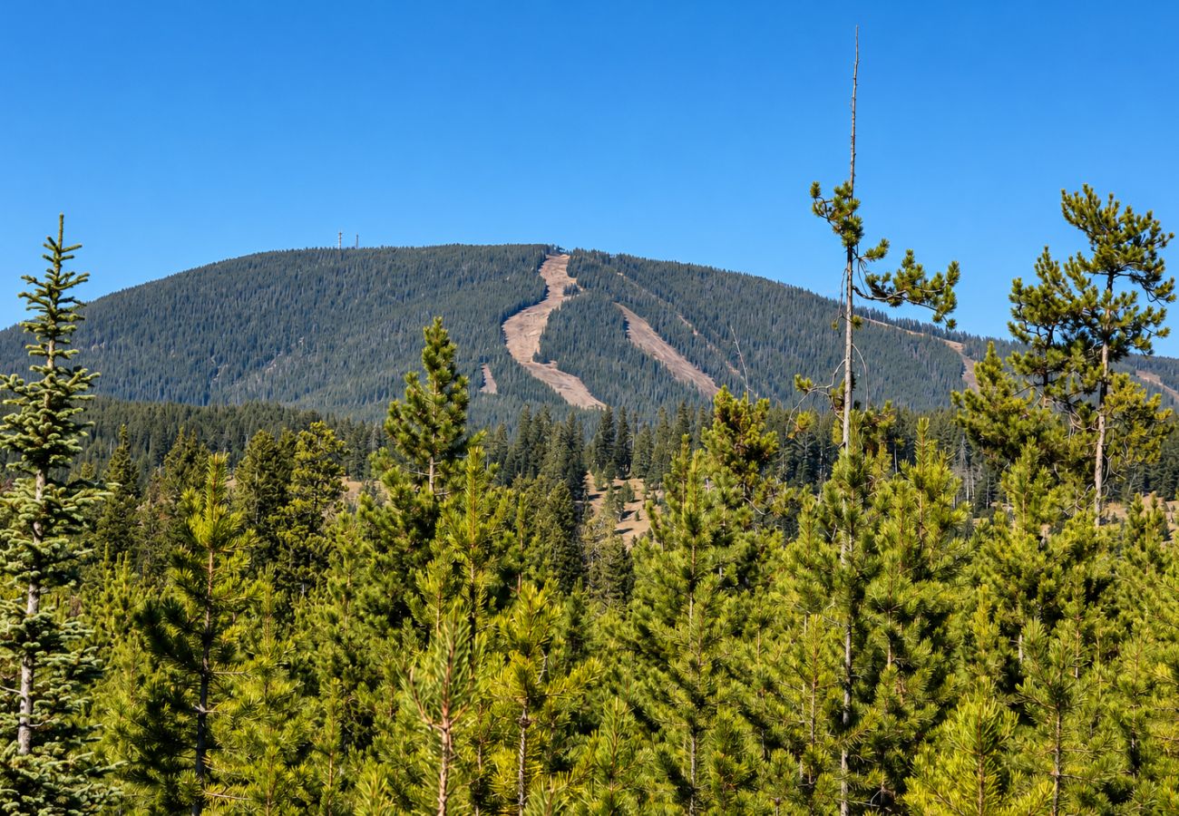 House in Anaconda - Powder & Pines Ski Retreat | 4 Miles to Disco!